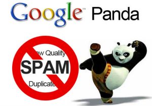 Google Panda algoritma güncellemesi