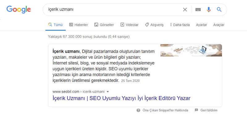 seo denetimi sayesinde richsnippet gösterimi